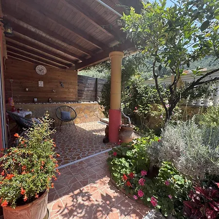 Ilias * 파라모나스