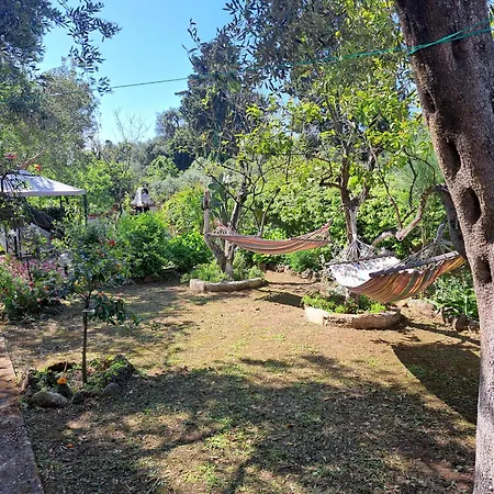 Ilias Holiday home *