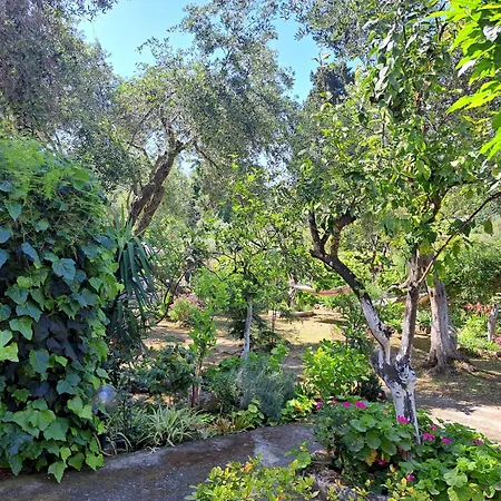 Ilias Holiday home Paramonas (Corfu)